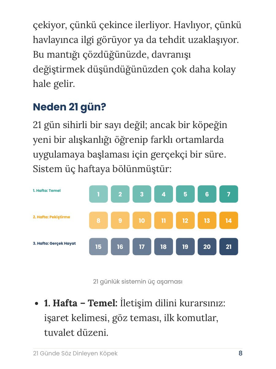 Kitapta neler var? — örnek sayfa 2